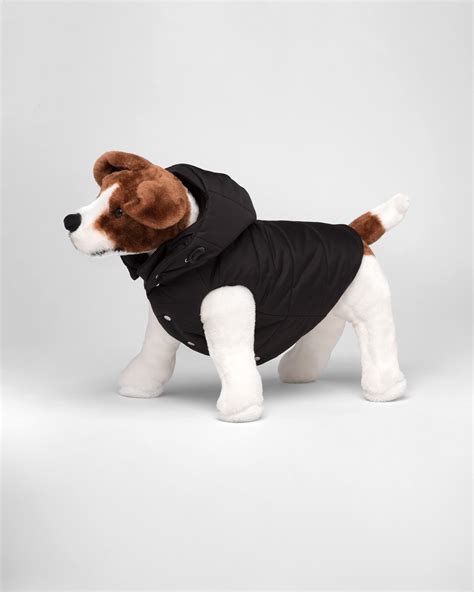 prada puffer dog jacket|Prada puffer jacket sale.